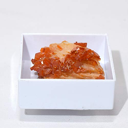 Algopix Similar Product 3 - 62 Carat Red Vanadinite Cluster in Box