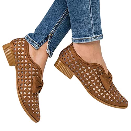 Algopix Similar Product 1 - Cenglings Womens Pointed Toe Breathable