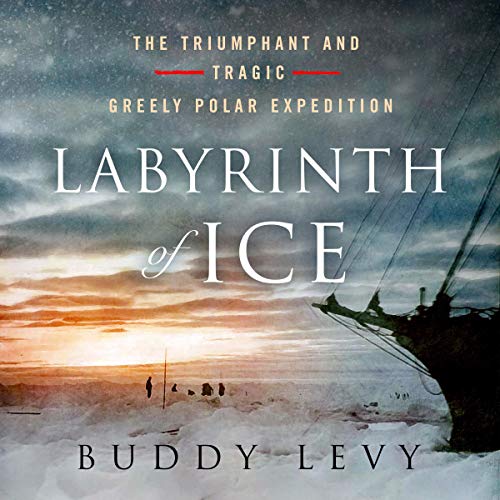 Algopix Similar Product 13 - Labyrinth of Ice The Triumphant and