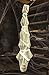 Algopix Similar Product 9 - ESSENSON Halloween Decorations Outdoor