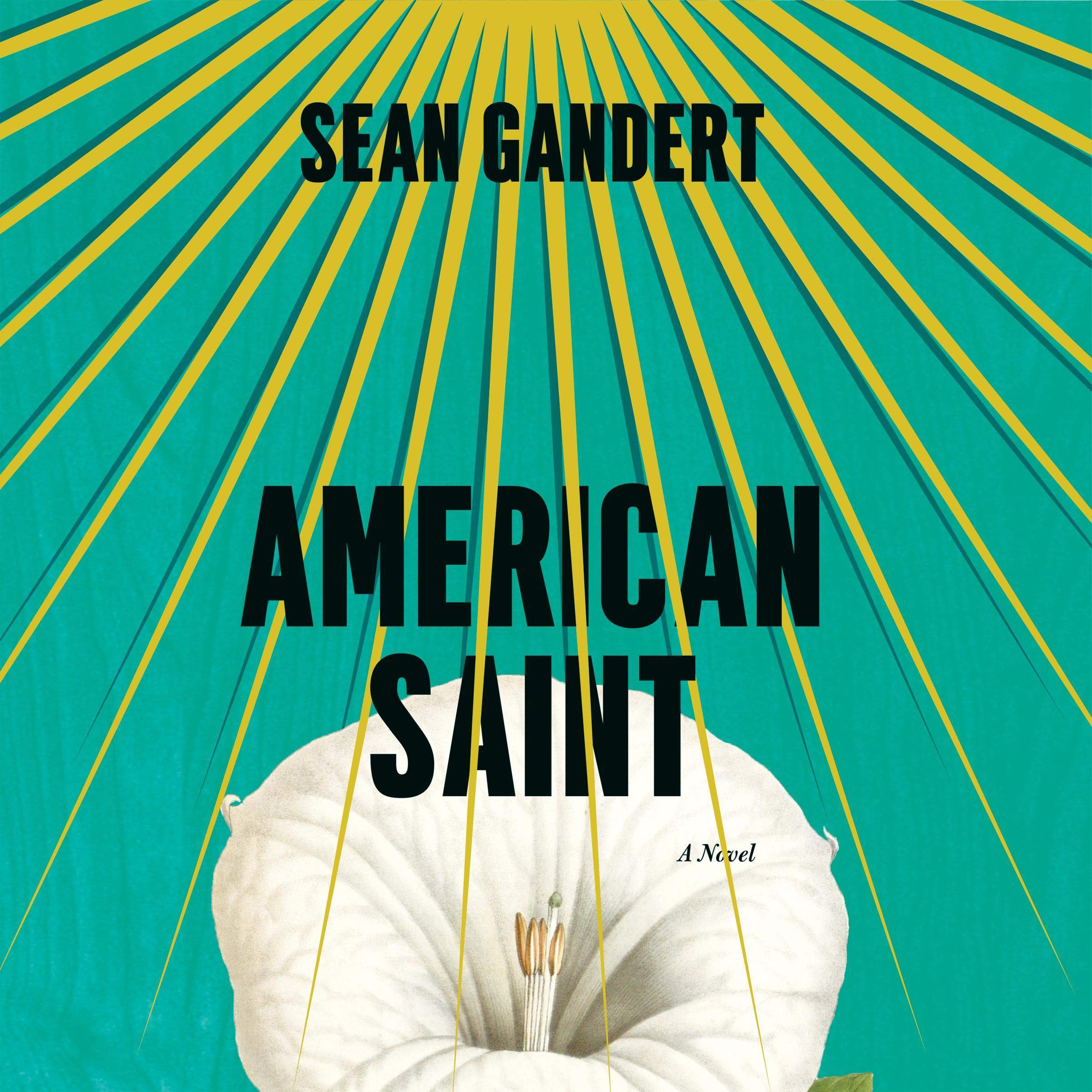 Algopix Similar Product 1 - American Saint: A Novel