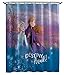 Algopix Similar Product 17 - Jay Franco Disney Frozen 2 Destiny