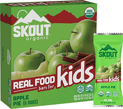 Algopix Similar Product 17 - SKOUT Organic Applie Pie Kids Bars 51