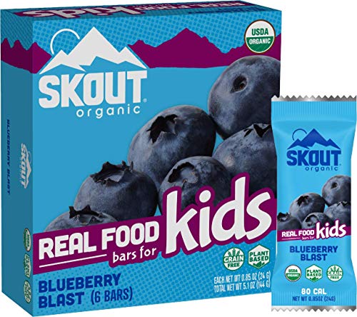 Algopix Similar Product 10 - SKOUT Organic Blueberry Blast Kids