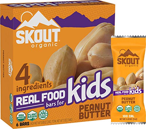 Algopix Similar Product 5 - SKOUT Organic Real Food Bars for Kids 