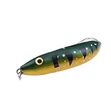 Algopix Similar Product 16 - CapsA Fishing Lures for Bass 96g7cm
