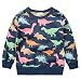 Algopix Similar Product 11 - Little Boys Dinosaur Sweatshirt Toddler