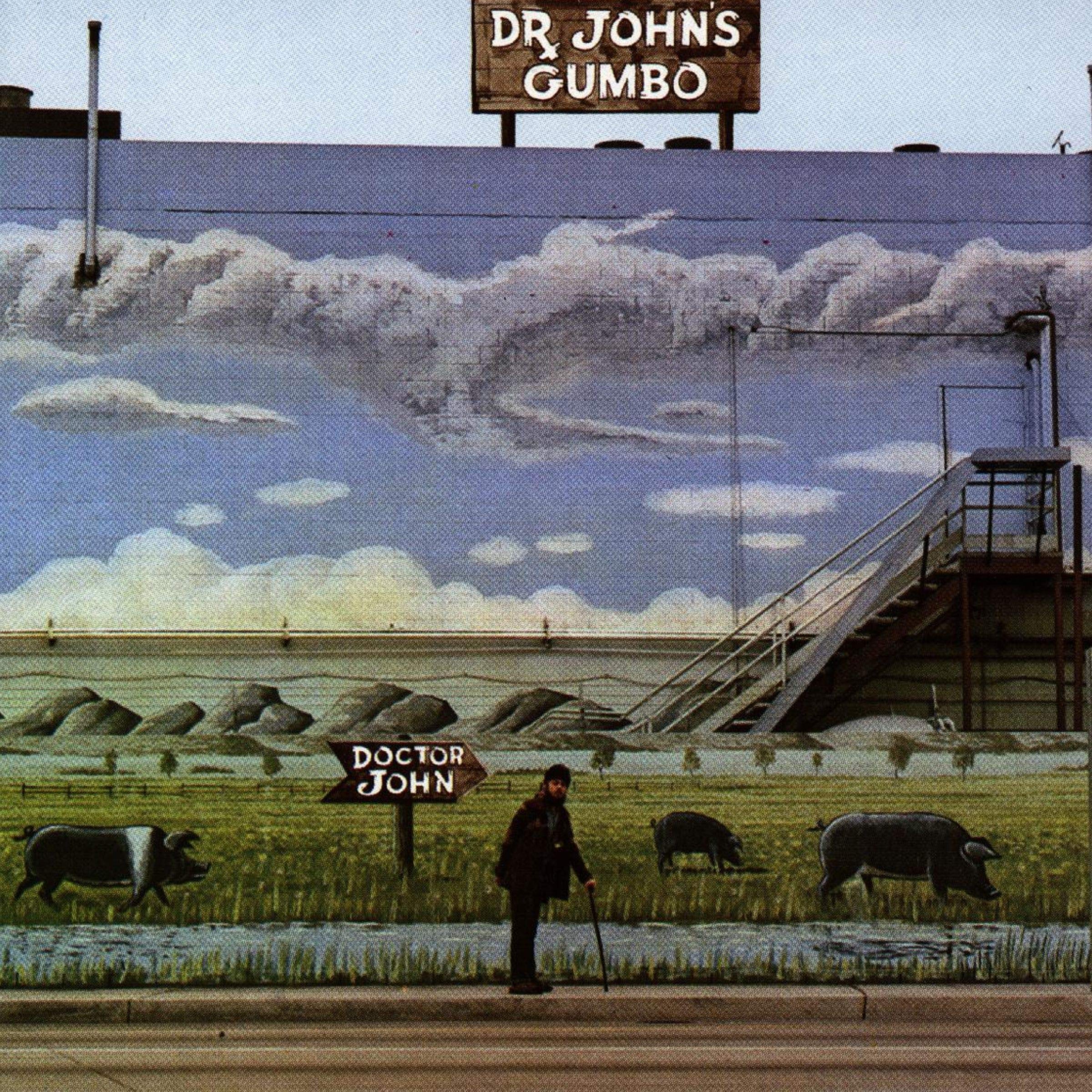 Algopix Similar Product 5 - Dr. John's Gumbo