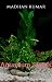 Algopix Similar Product 2 - Aquarium Plants: about Aquarium