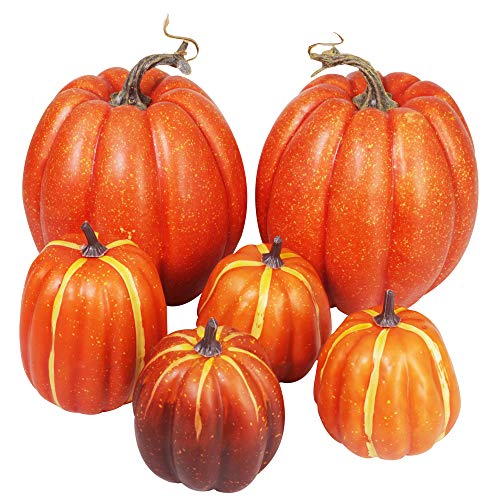 Algopix Similar Product 10 - Winlyn Package of 6 Assorted Size