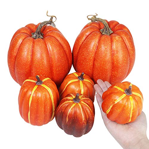 Algopix Similar Product 11 - Winlyn Package of 6 Assorted Size