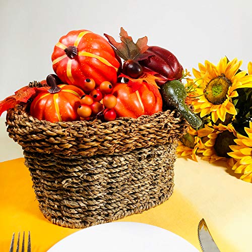 Algopix Similar Product 9 - Winlyn Package of 6 Assorted Size