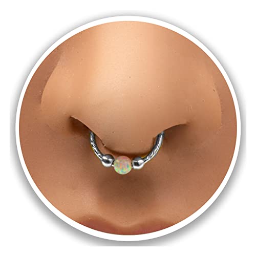 Algopix Similar Product 5 - clip on septum piercings  Sterling