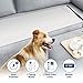 Algopix Similar Product 10 - Balimo Pet Training MatScat Mat for