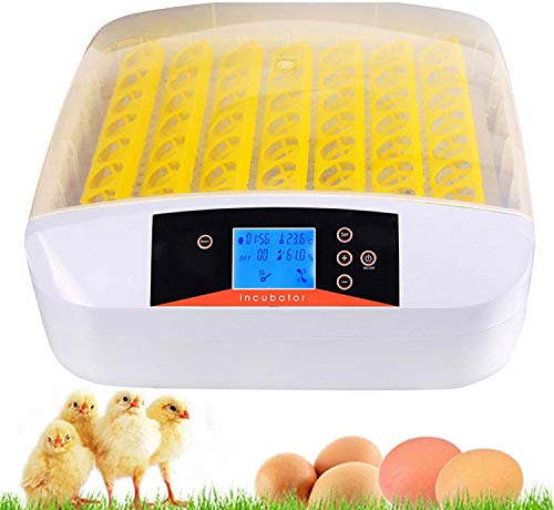 Algopix Similar Product 6 - Egg Incubator 56 Eggs Digital