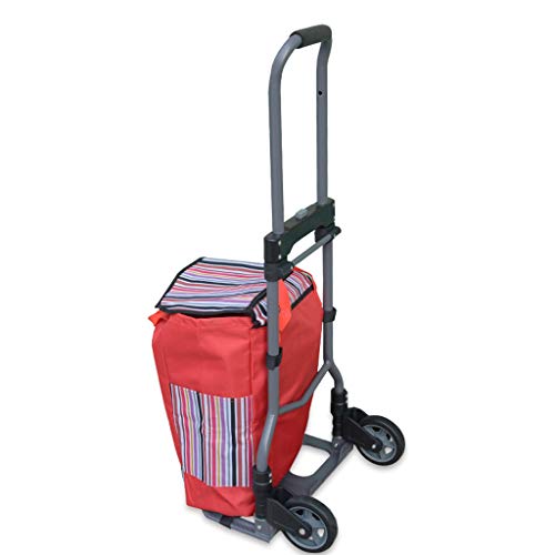 Algopix Similar Product 9 - SPLY DTEM Portable Folding Iron Luggage