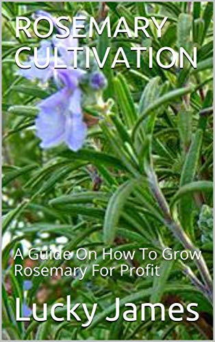 Algopix Similar Product 14 - ROSEMARY CULTIVATION A Guide On How To