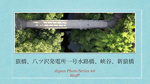 Algopix Similar Product 1 - saruhashi bridge photo drone suiro