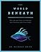Algopix Similar Product 9 - The World Beneath The Life and Times