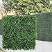 Algopix Similar Product 11 - GENPAR Artificial Boxwood Panels 12