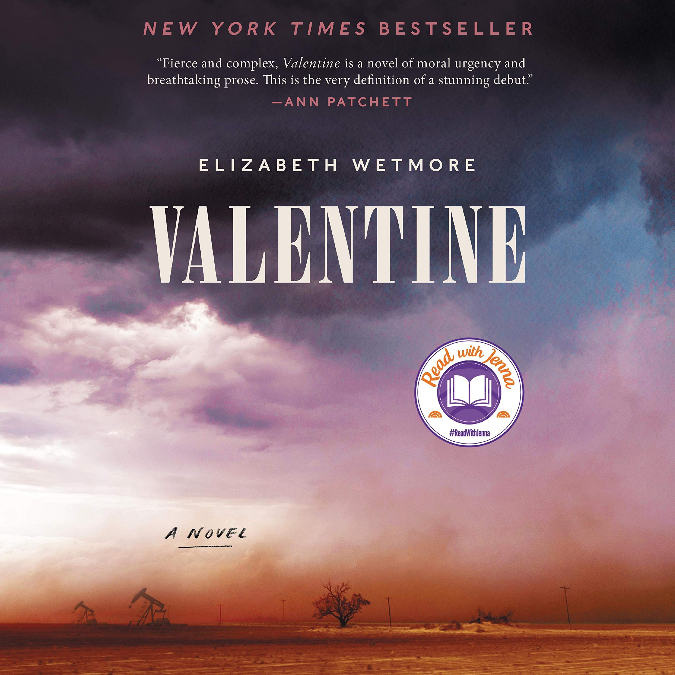 Algopix Similar Product 19 - Valentine: A Novel