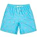 Algopix Similar Product 11 - Mens Bathing Suits with Mesh Lining