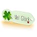 Algopix Similar Product 5 - Viel Glck Einkaufswagenchip 1 Stck