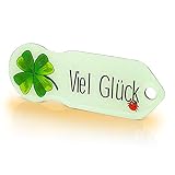 Algopix Similar Product 19 - Viel Glck Einkaufswagenchip 1 Stck