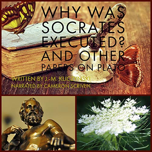 Algopix Similar Product 5 - Why Was Socrates Executed And Other