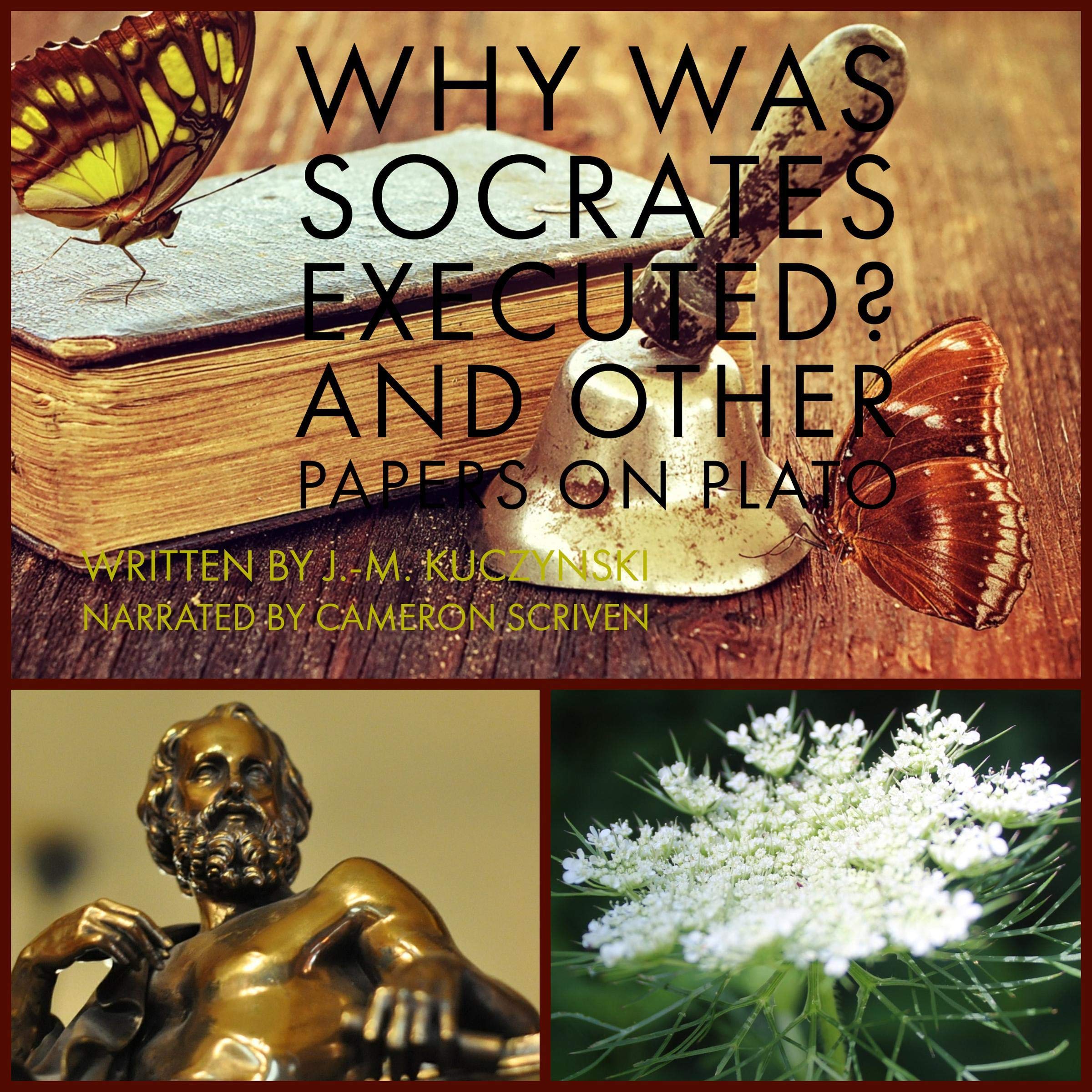 Algopix Similar Product 4 - Why Was Socrates Executed And Other