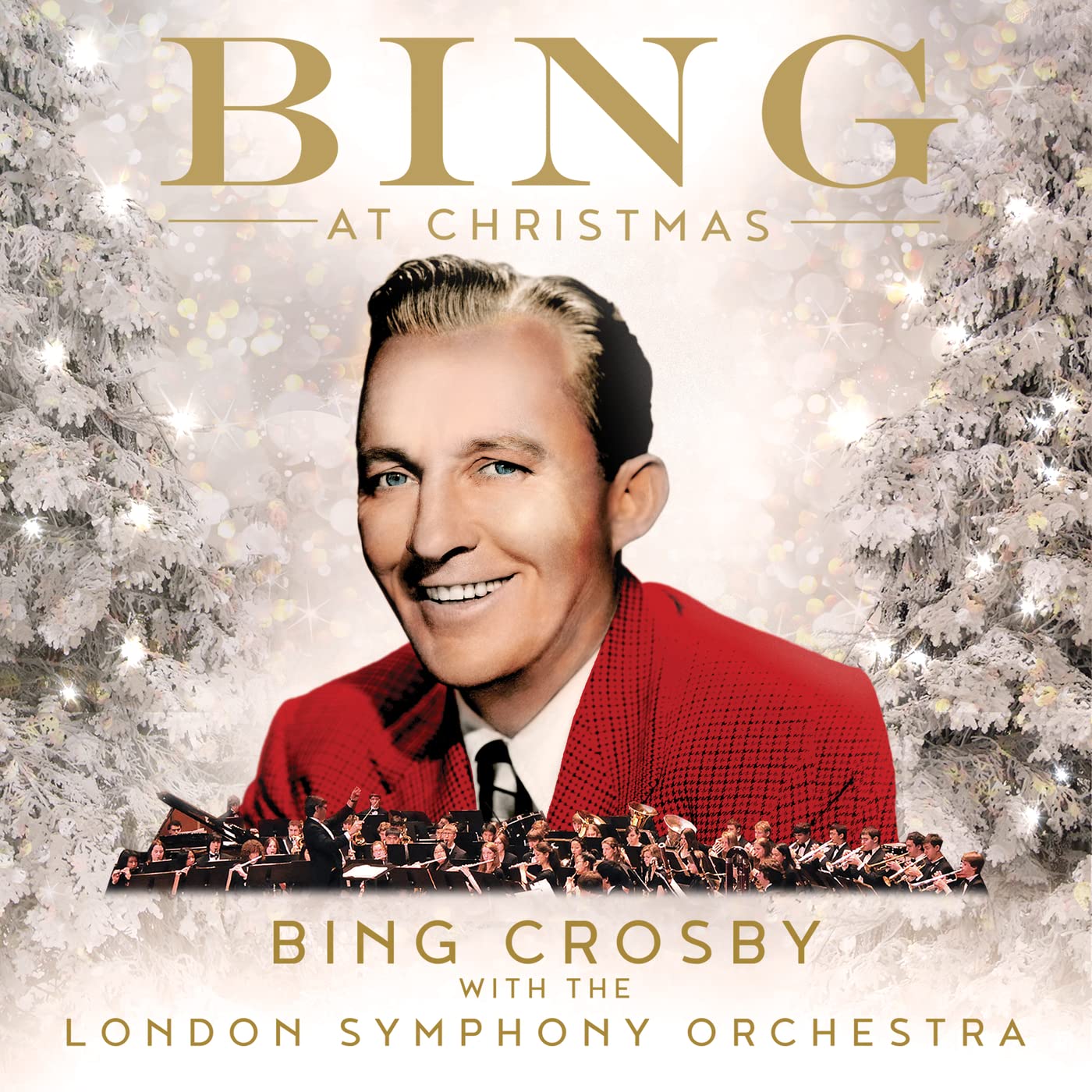 Algopix Similar Product 11 - Bing At Christmas