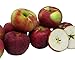 Algopix Similar Product 3 - Kauffman Orchards Cortland Apples