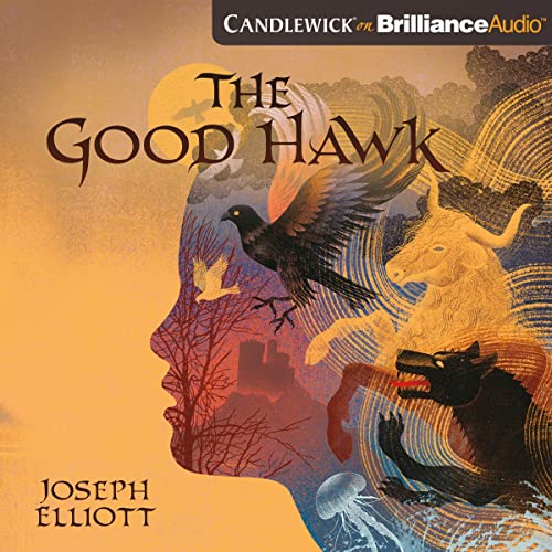 Algopix Similar Product 16 - The Good Hawk: Shadow Skye, Book 1