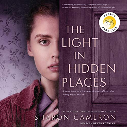 Algopix Similar Product 5 - The Light in Hidden Places