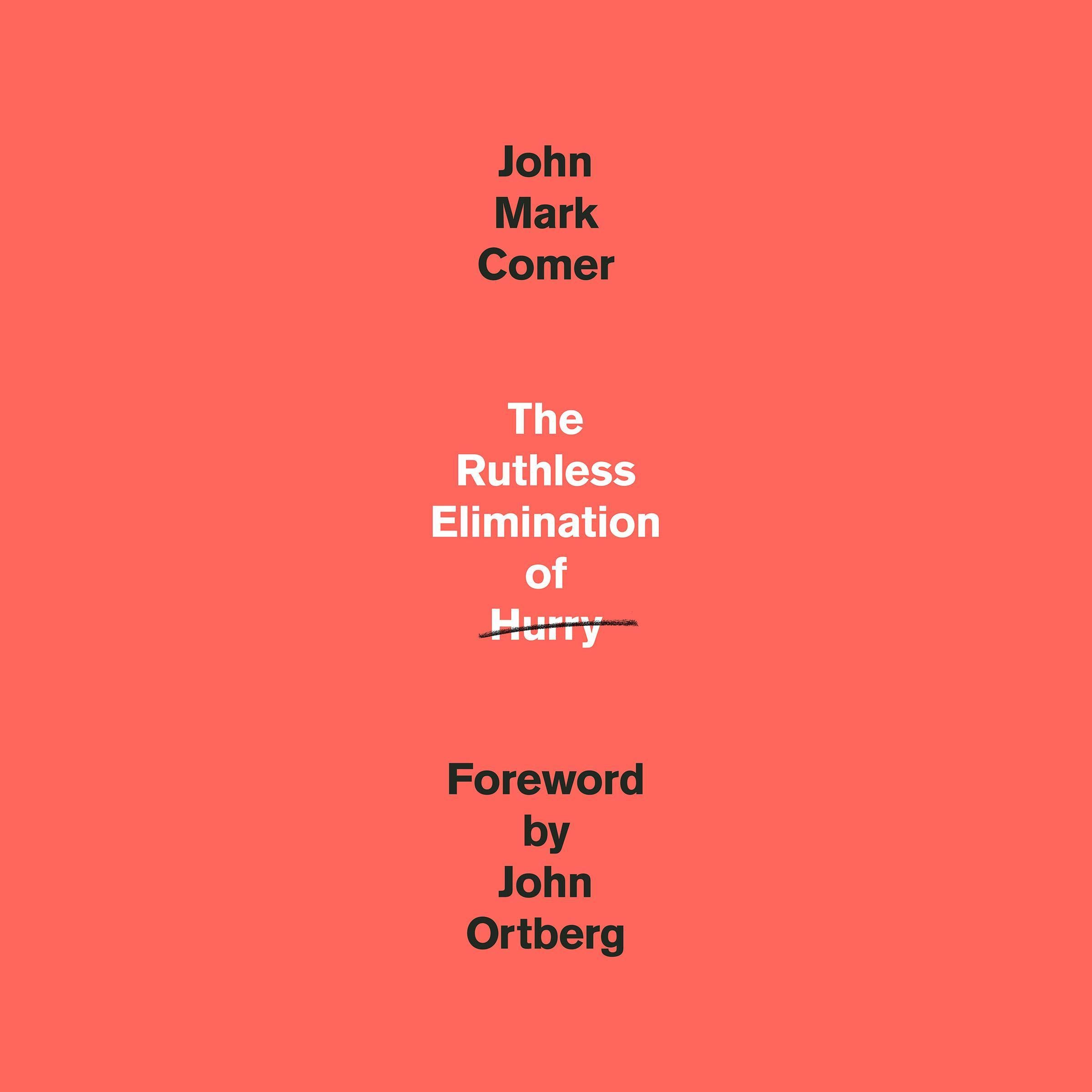 Algopix Similar Product 4 - The Ruthless Elimination of Hurry How