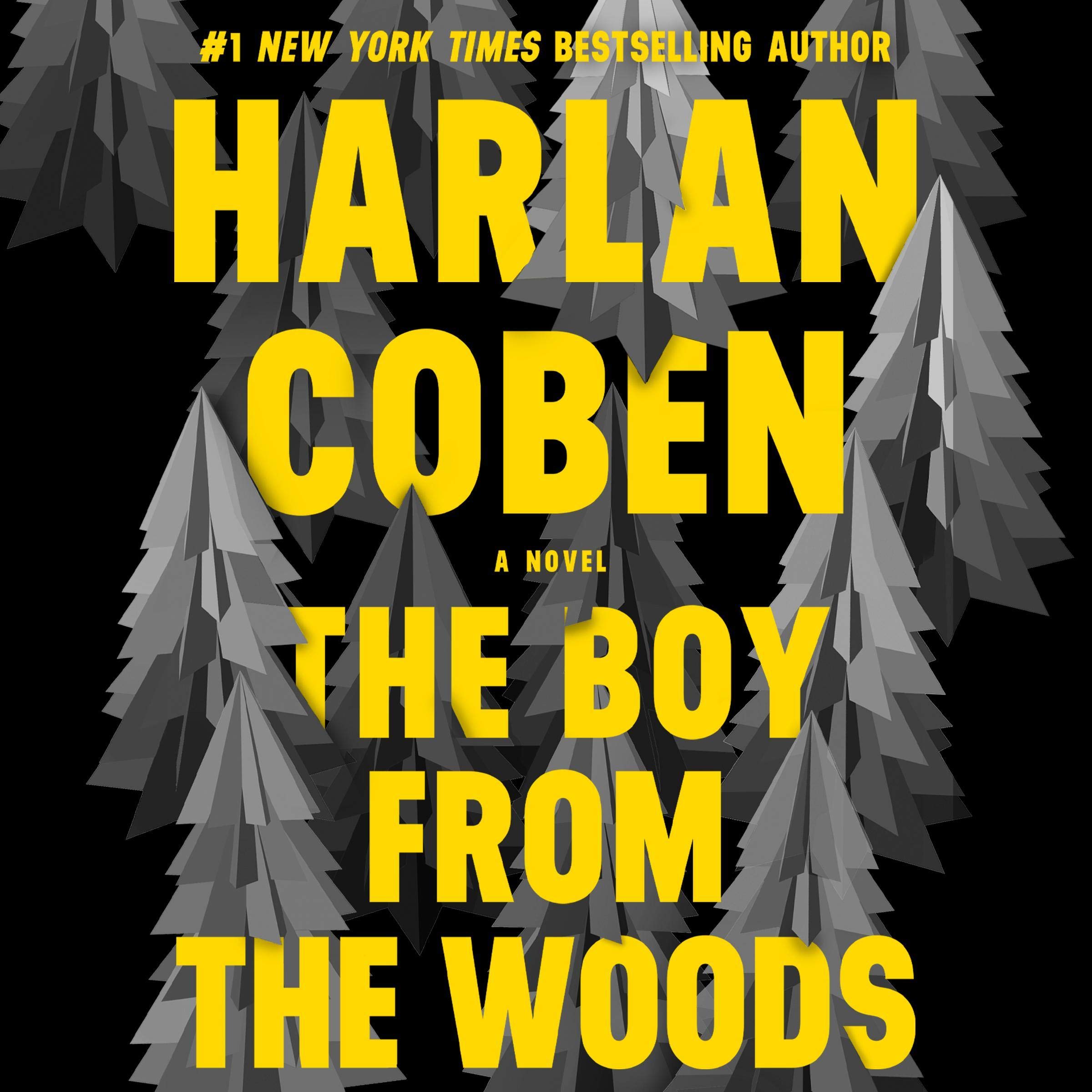 Algopix Similar Product 18 - The Boy from the Woods: Wilde, Book 1