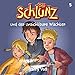 Algopix Similar Product 8 - Der Schlunz und der unsichtbare