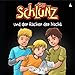 Algopix Similar Product 11 - Der Schlunz und der Rcher in der
