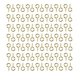 Algopix Similar Product 1 - HUIHUIBAO 100 Pieces Small Screw Eyes