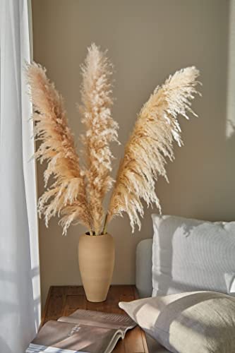 Algopix Similar Product 12 - 3 stems XL Dried Pampas Grass Decor