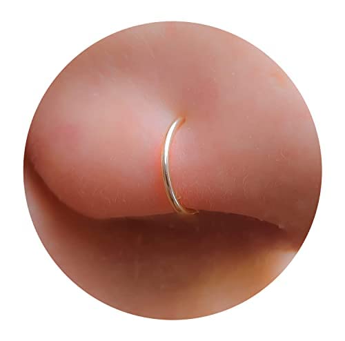 Algopix Similar Product 15 - CLIP ON Fake Nose Ring  No piercing