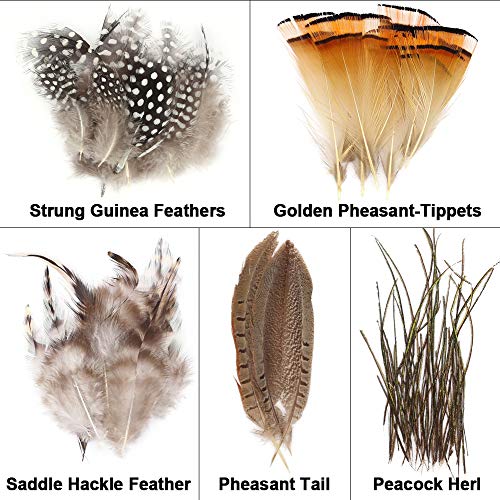 Algopix Similar Product 4 - XFISHMAN FlyTyingMaterialskit 10 in