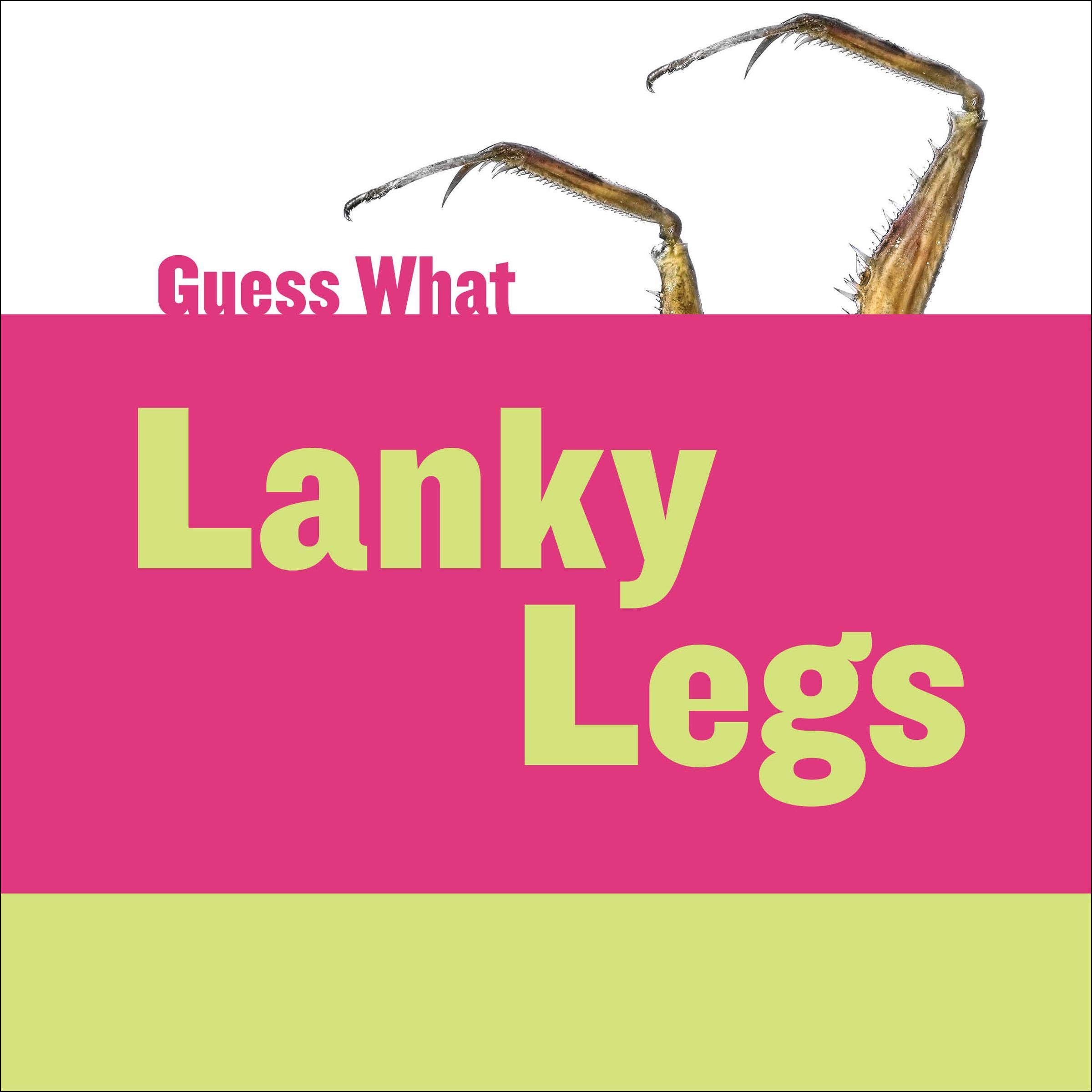 Algopix Similar Product 9 - Lanky Legs Praying Mantis Guess What