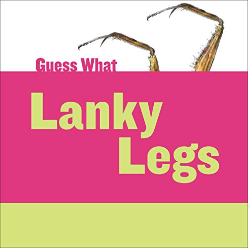 Algopix Similar Product 10 - Lanky Legs Praying Mantis Guess What