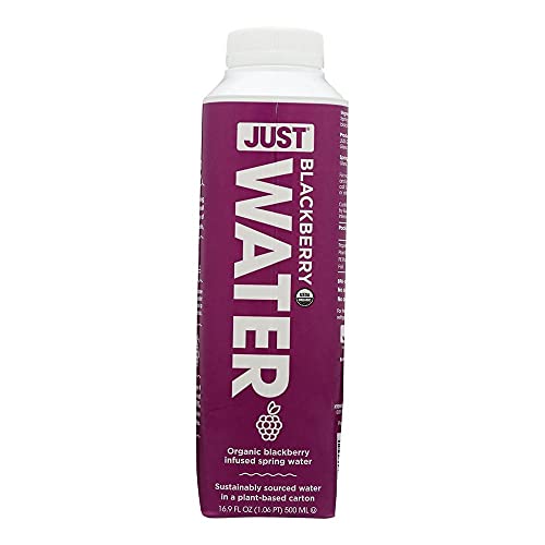 Algopix Similar Product 2 - JUST WATER Organic Blackberry Water