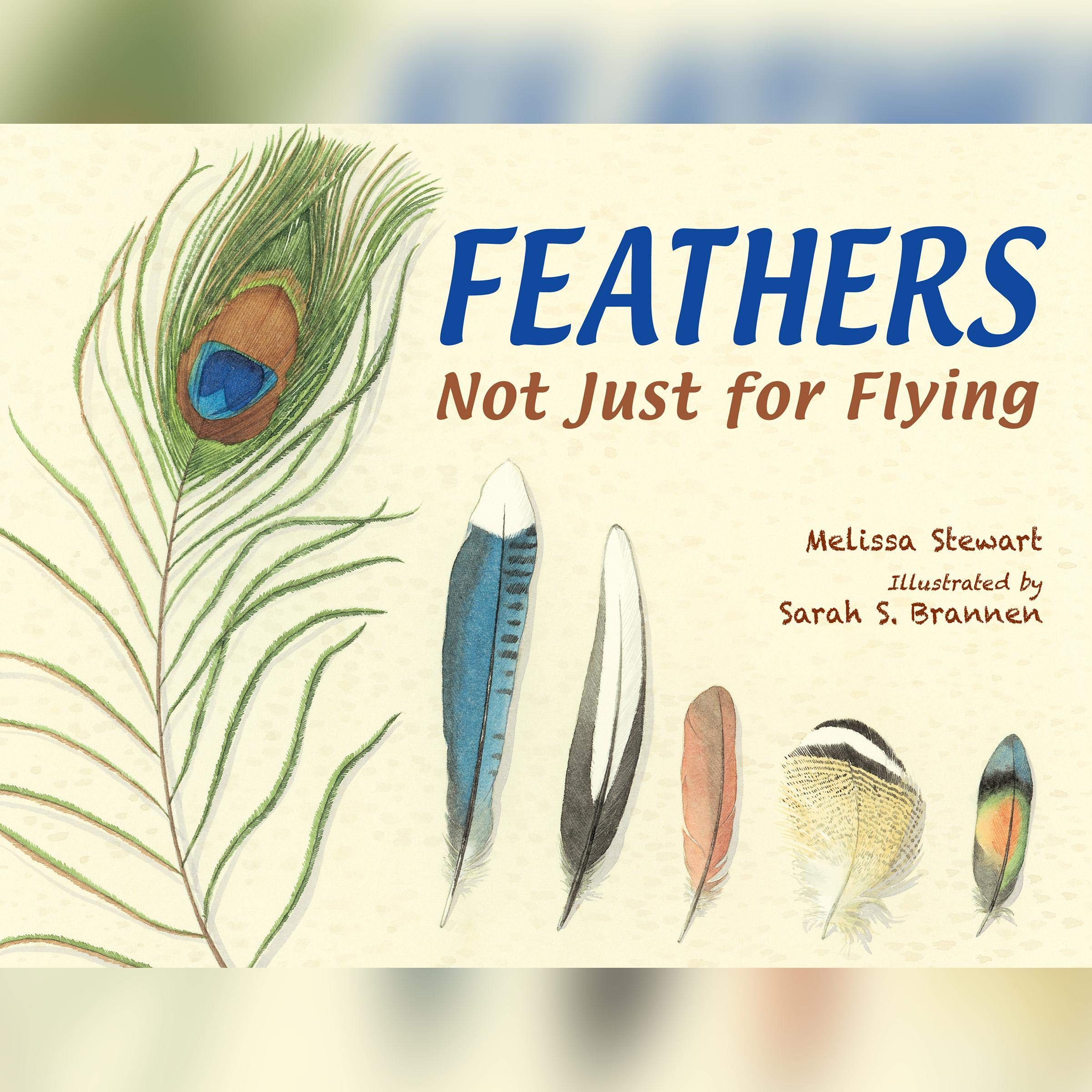 Algopix Similar Product 19 - Feathers