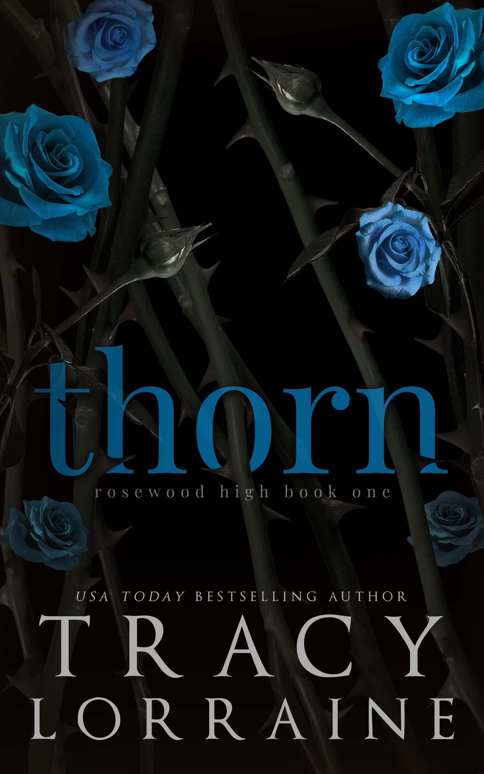 Algopix Similar Product 19 - THORN A High School Bully Romance