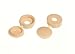 Algopix Similar Product 15 - 120 x SCREW CAP AND HINGED COVER BEIGE