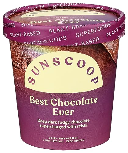 Algopix Similar Product 9 - Sunscoop Dark Cacao With Reishi Coconut