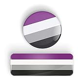 Algopix Similar Product 13 - LGBTQIA Asexual Pride Flag pin badge